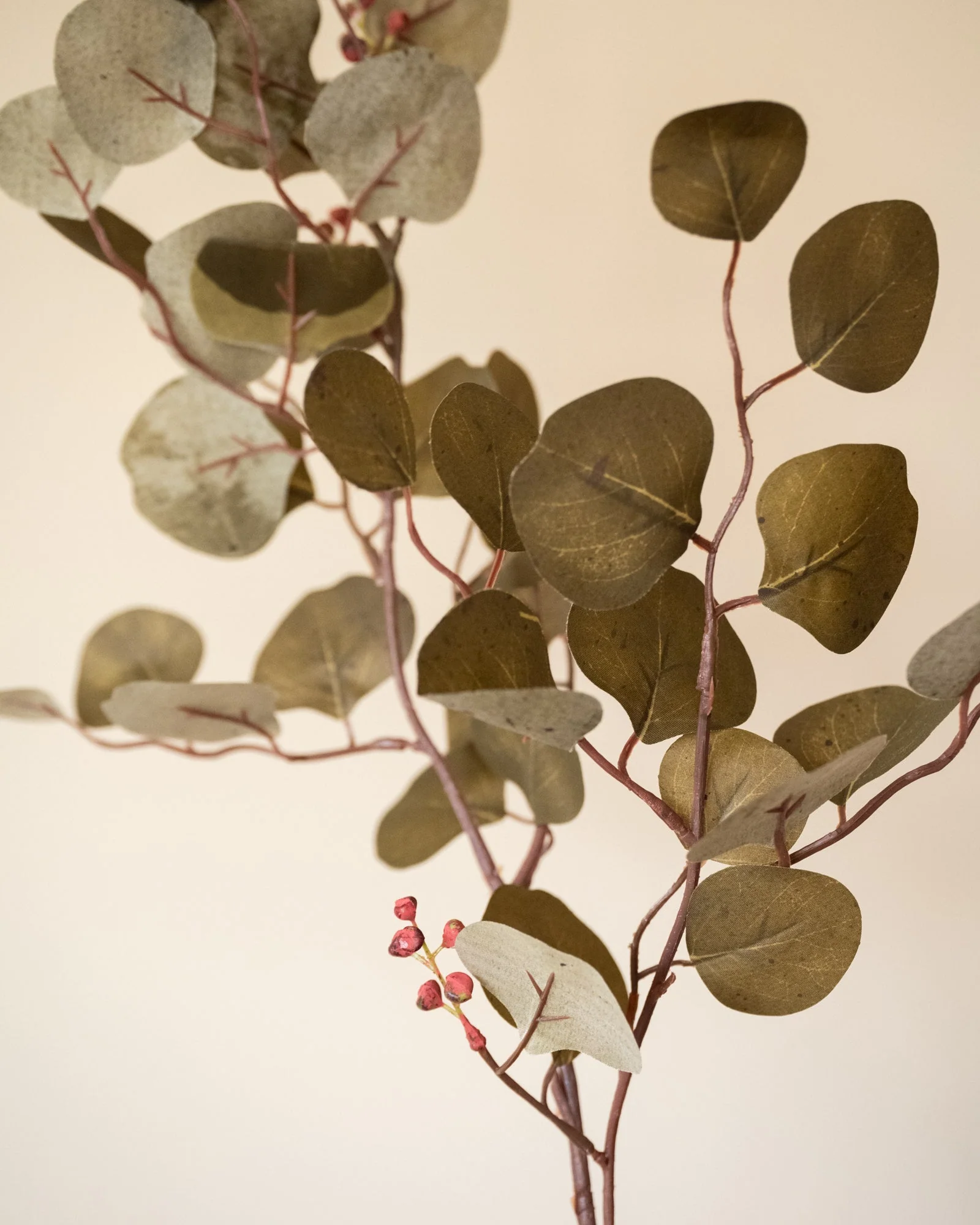 Bloomingville Faux Flower Eucalyptus Brown - Image 3
