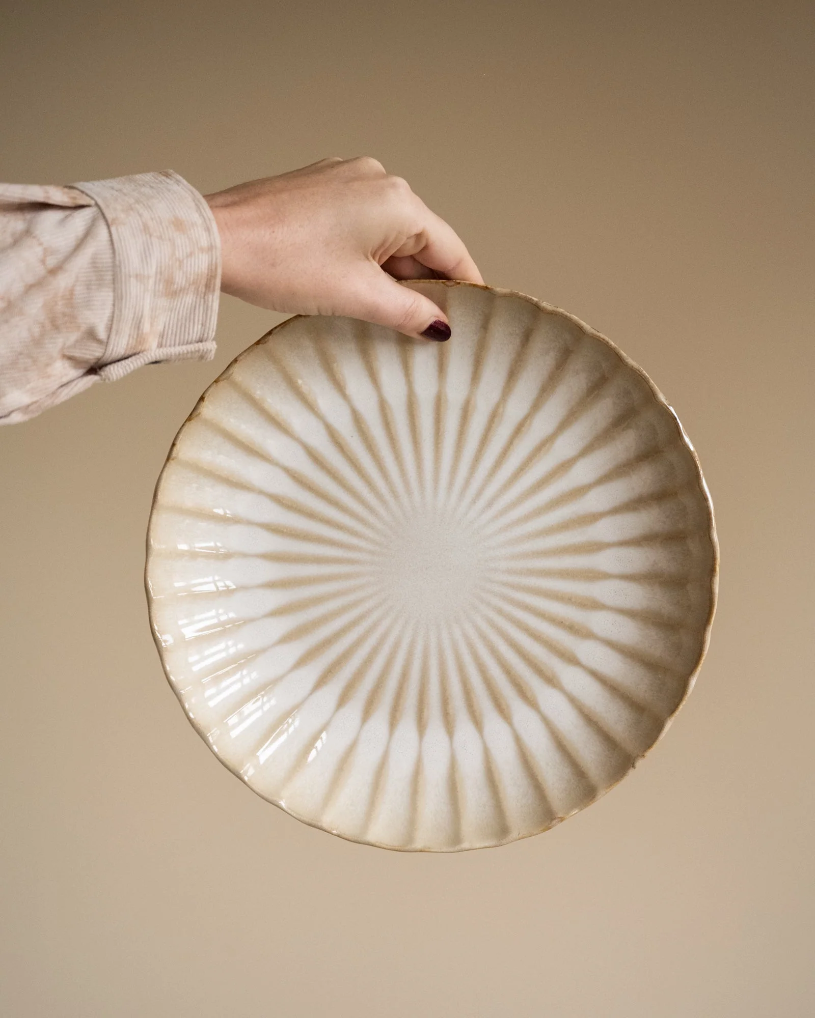 Dinner Plate Astera - Image 8
