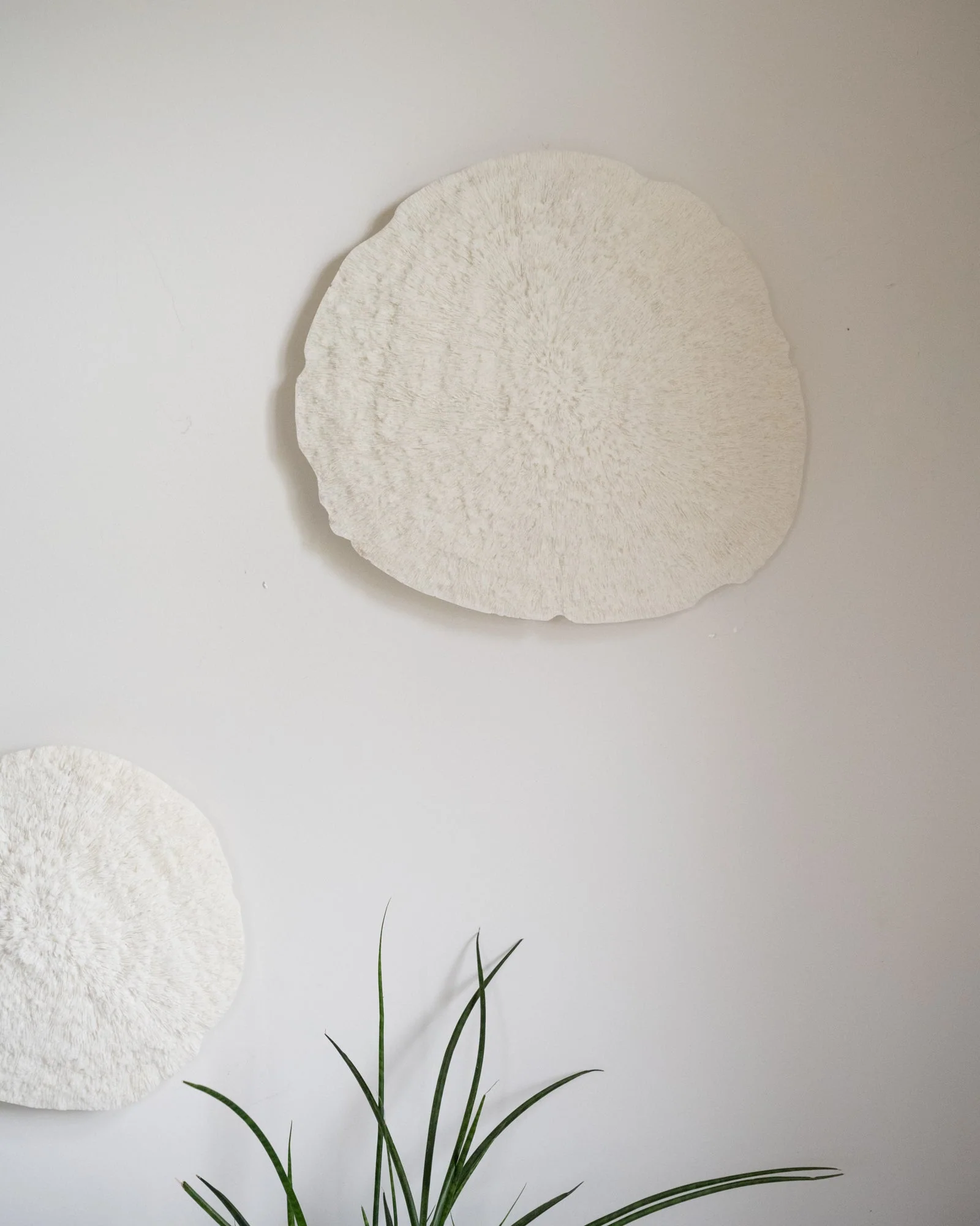 Wall Deco Coral Ivory - Image 4