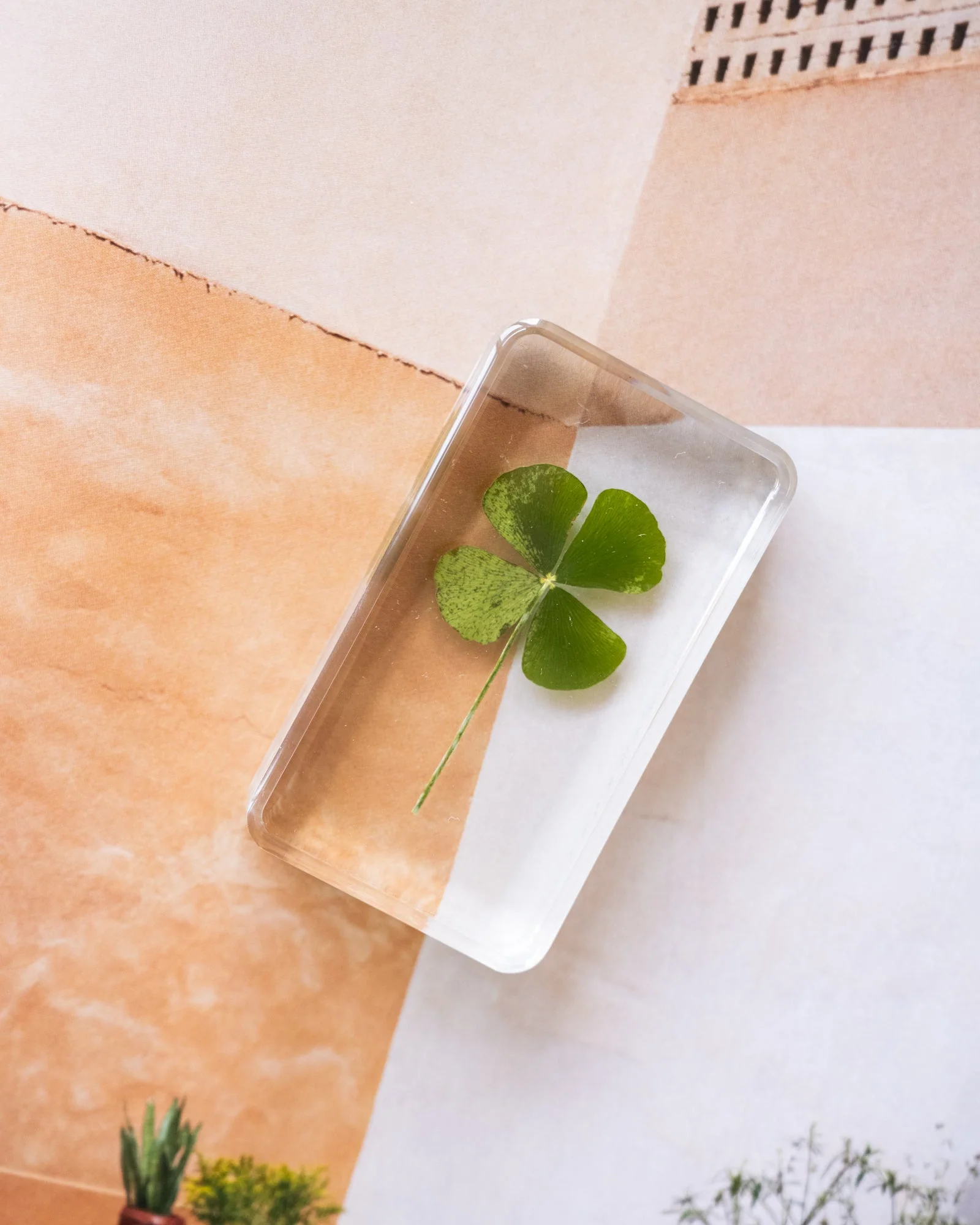 Cube Lucky Clover - Image 2
